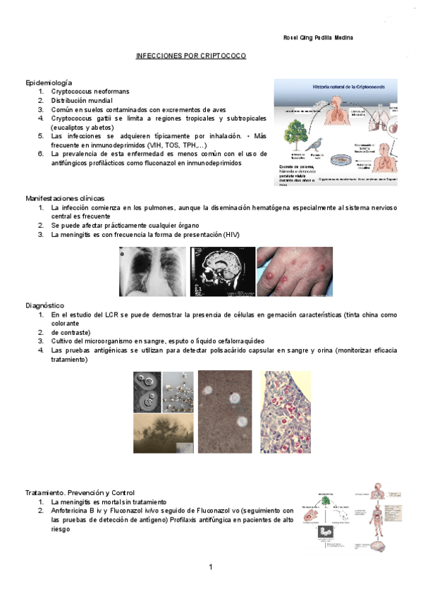 Miniatura del documento INFECCIONES-POR-CRIPTOCOCO-Documentos-de-Google.pdf