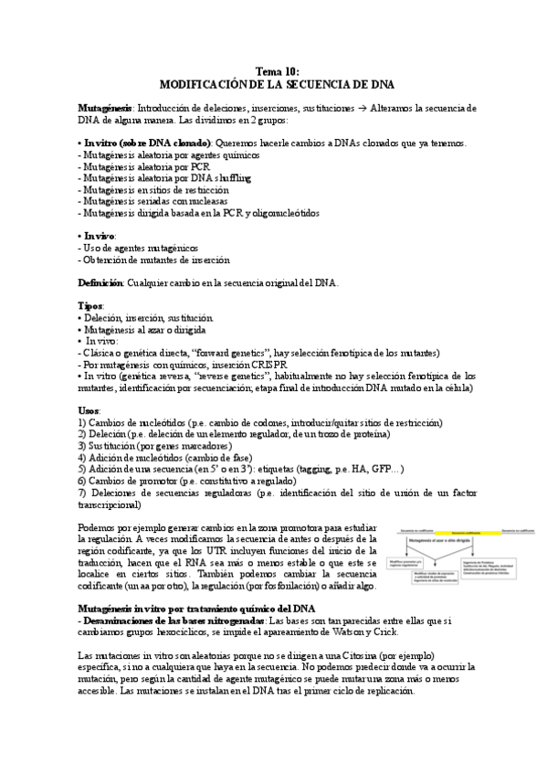 Miniatura del documento TEMA-10.pdf