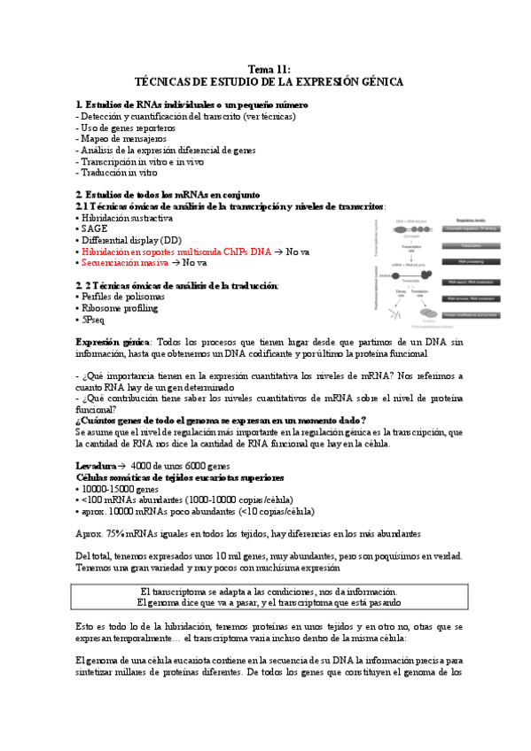 Miniatura del documento TEMA-11.pdf