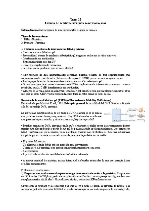 Miniatura del documento TEMA-12.pdf