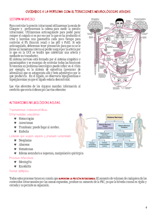 Miniatura del documento NEURO.pdf