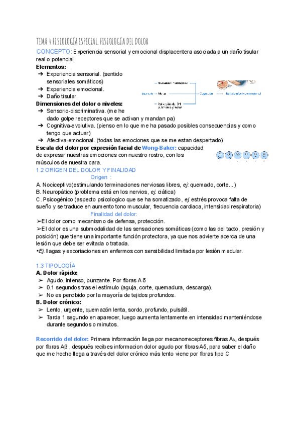 Miniatura del documento TEMA-4-FISIOLOGIA-ESPECIAL-2.pdf