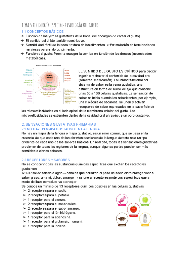 Miniatura del documento TEMA-5-FISIOLOGIA-ESPECIAL-FISIOLOGIA-DEL-GUSTO.pdf