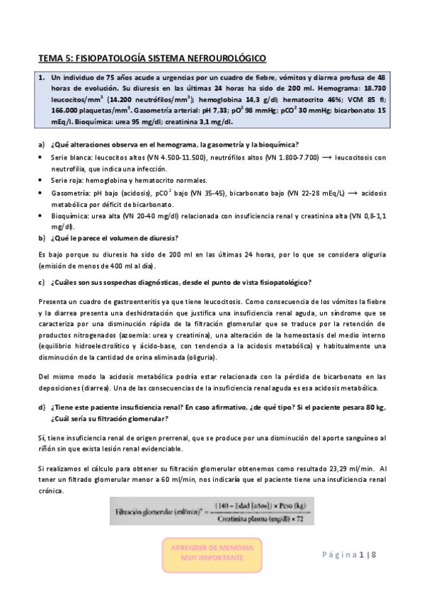 Miniatura del documento EJERCICIOS-TP-TEMA-5.pdf