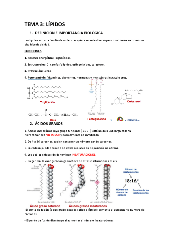 Miniatura del documento TEMA-3-BIOQUIMICA.pdf