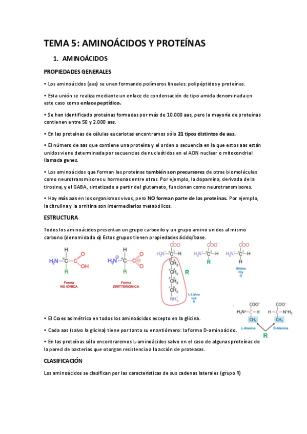 Miniatura del documento TEMA-5-BIOQUIMICA.pdf