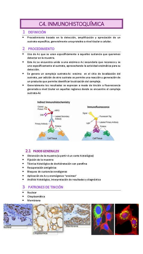 Miniatura del documento C4.-INMUNOHISTOQUIMICA.pdf