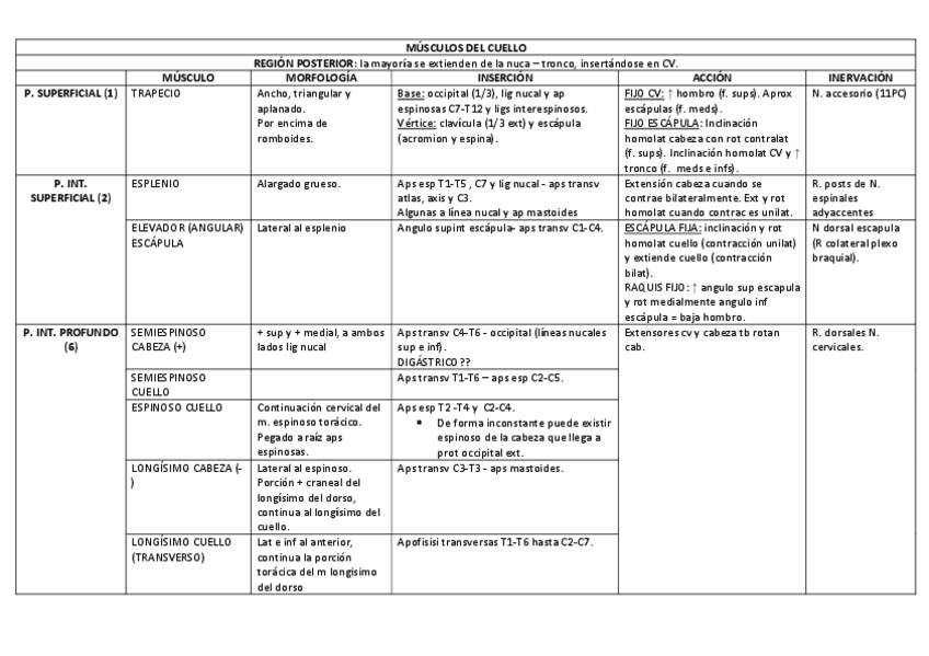 Miniatura del documento TABLA-MUSCULOS-TRONCO.pdf