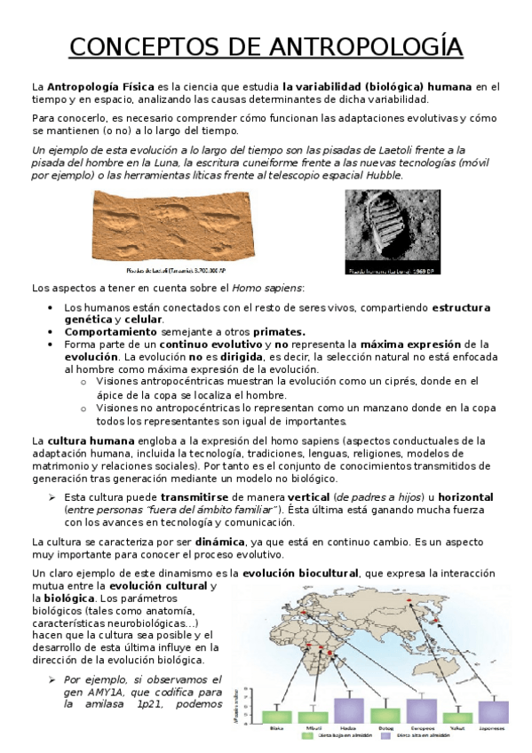 Miniatura del documento Tema 1. Introducción.docx