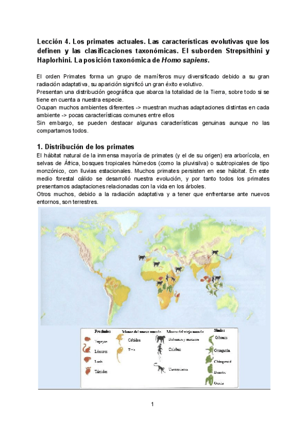 Miniatura del documento Tema 4. Los primates actuales.pdf
