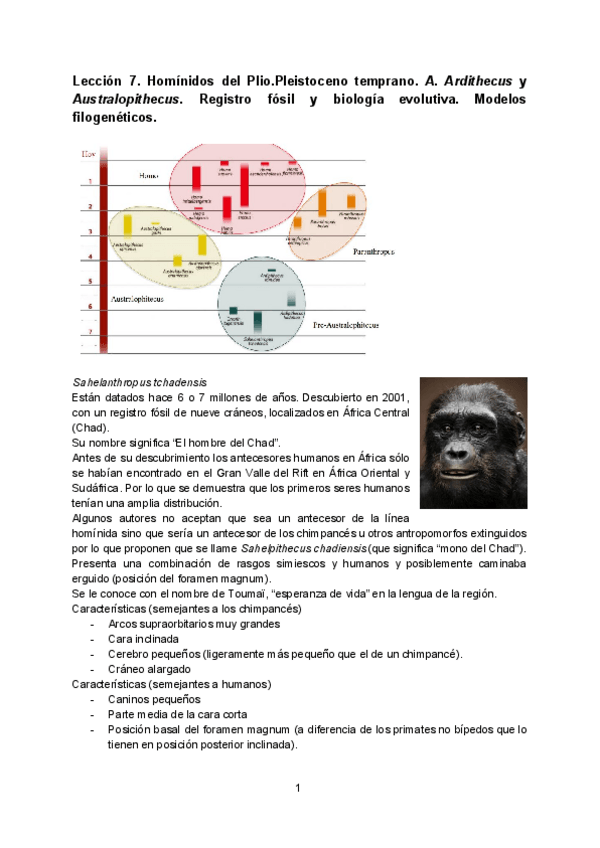 Miniatura del documento Tema 7. Australopithecus y Paranthropus.pdf