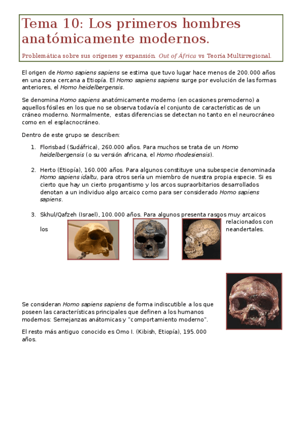 Miniatura del documento Tema 10. Los primeros hombres.docx