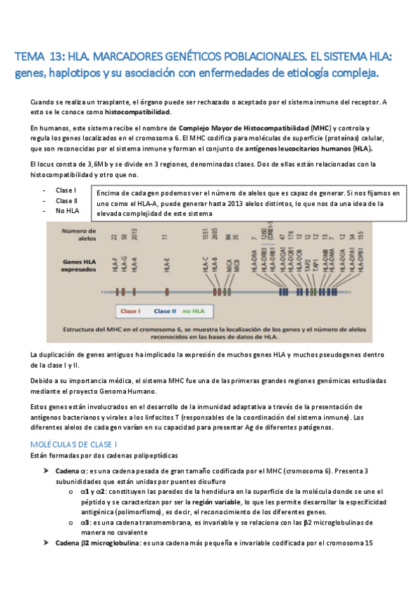 Miniatura del documento Tema 13. HLA.pdf