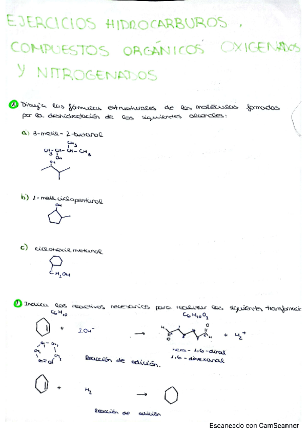 Miniatura del documento SEMINARIOS-QUIMICA-ORGANICA-HIDROCARBUROS-COMUESTOS-ORGANICOS-OXIGENADOS-Y-NITROGENADOS.pdf
