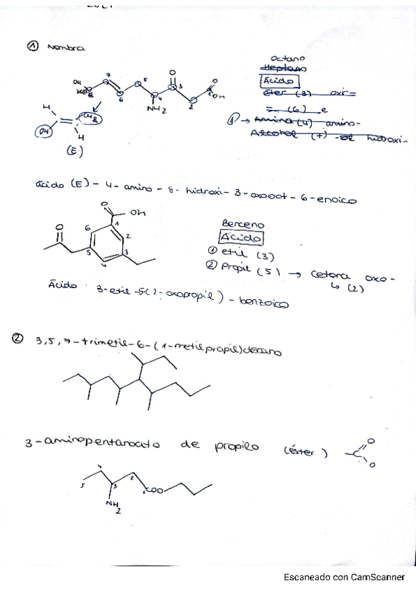 Miniatura del documento EXAMEN-QUIMICA-ORGANICA-GITI-2021.pdf
