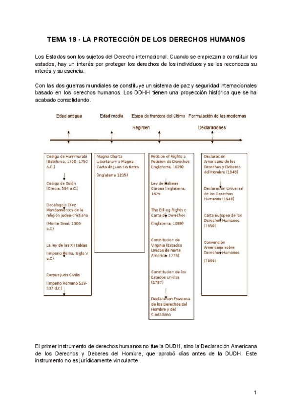 Miniatura del documento TEMA-19-LA-PROTECCION-DE-LOS-DERECHOS-HUMANOS.pdf