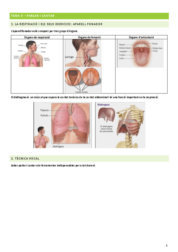 Miniatura del documento Tema 9.pdf