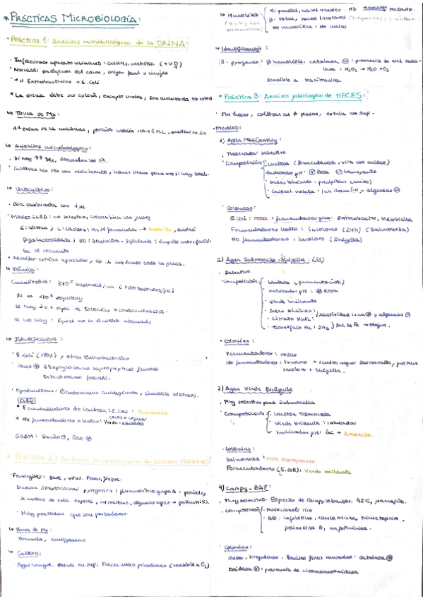 Miniatura del documento Resumen prácticas Micro 2.pdf