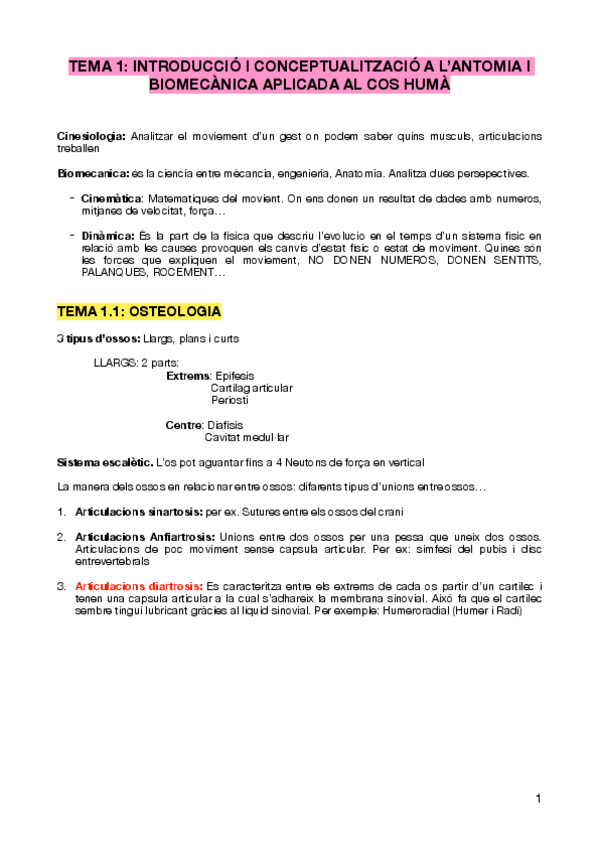 Miniatura del documento APUNTS-ANATOMIA.pdf