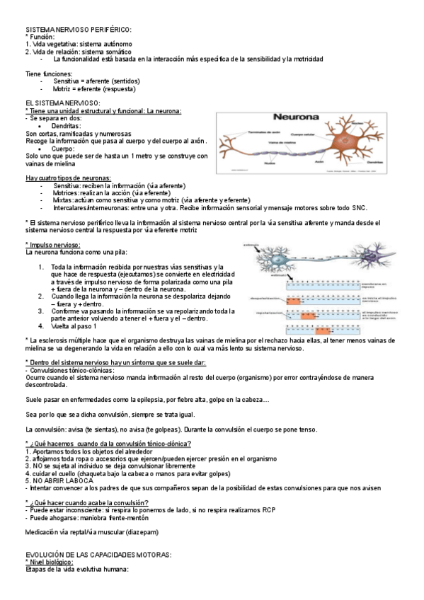 Miniatura del documento EXAMEN-2-S-H-A entero.pdf