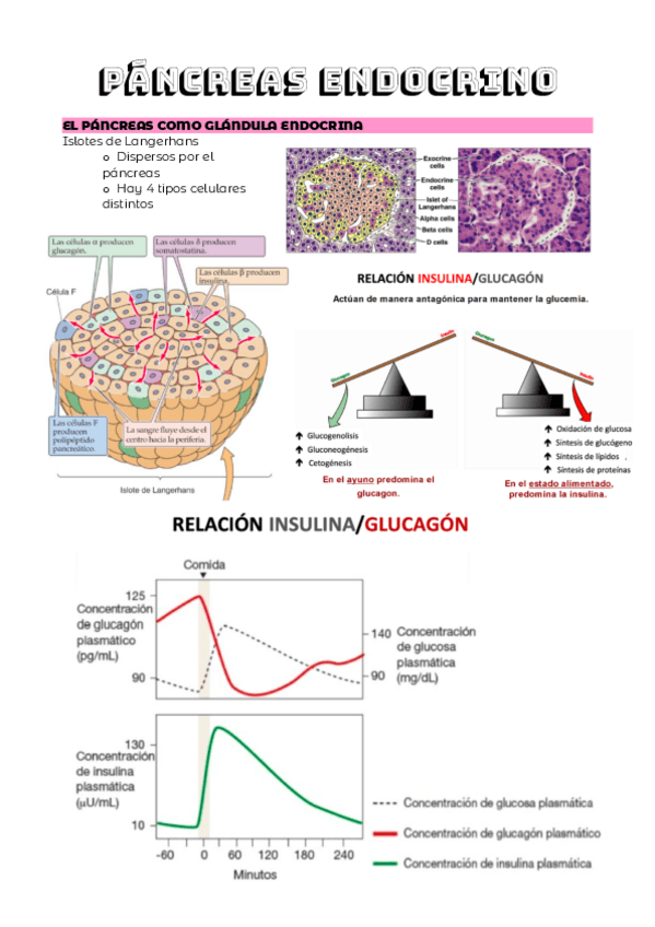Miniatura del documento TEMA-6.2.pdf