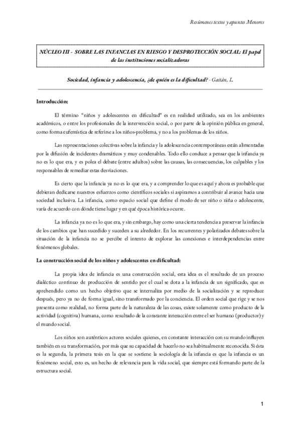 Miniatura del documento Resumenes-y-apuntes-nucleo-III.pdf