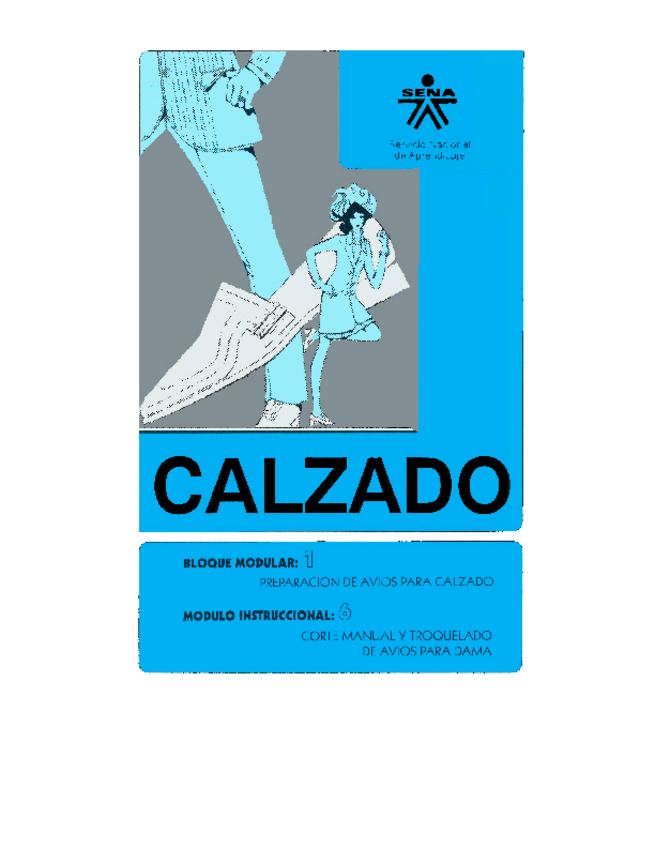 Miniatura del documento Calzado.pdf