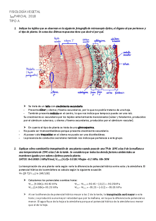Miniatura del documento Parcial-Five-2018-TIPO-A.pdf