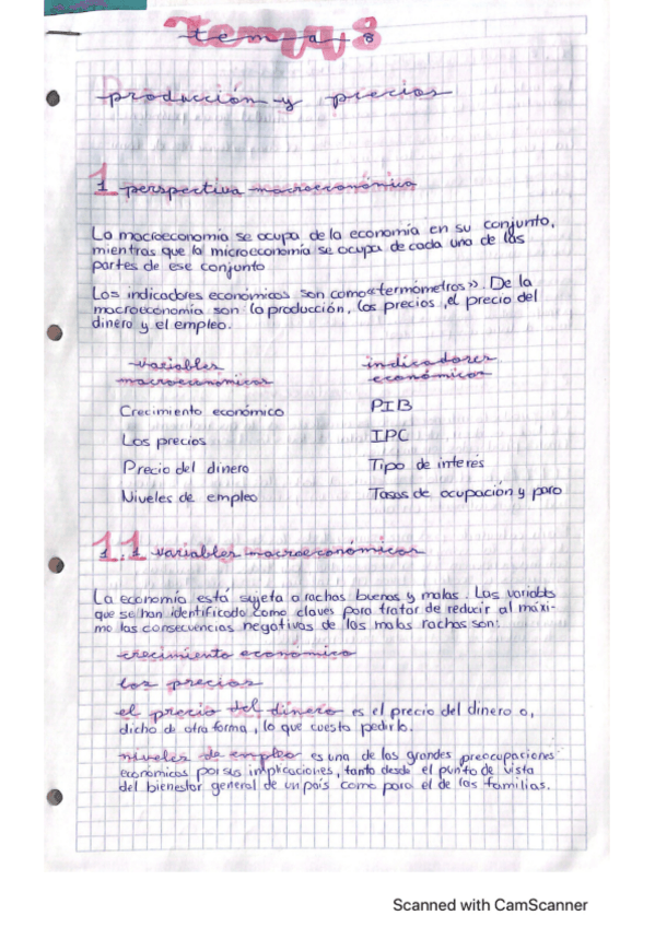 Miniatura del documento Macroeconomia.pdf