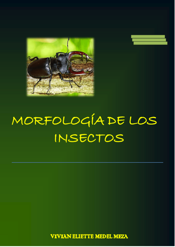 Miniatura del documento MORFOLOGIA-DE-LOS-INSECTOS.pdf