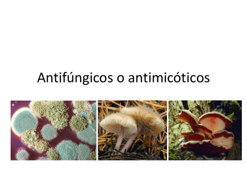Miniatura del documento 12.-Antimicoticos.pdf