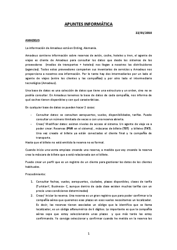Miniatura del documento APUNTES AMADEUS.pdf