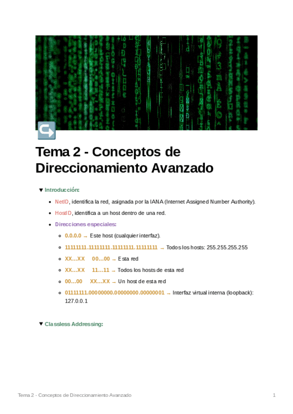 Miniatura del documento T2_ConceptosDireccionamientoAvanzado.pdf