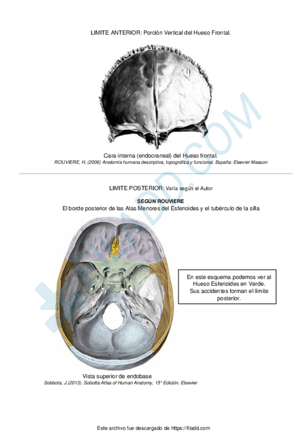 Miniatura del documento ilovepdfmerged-2.pdf