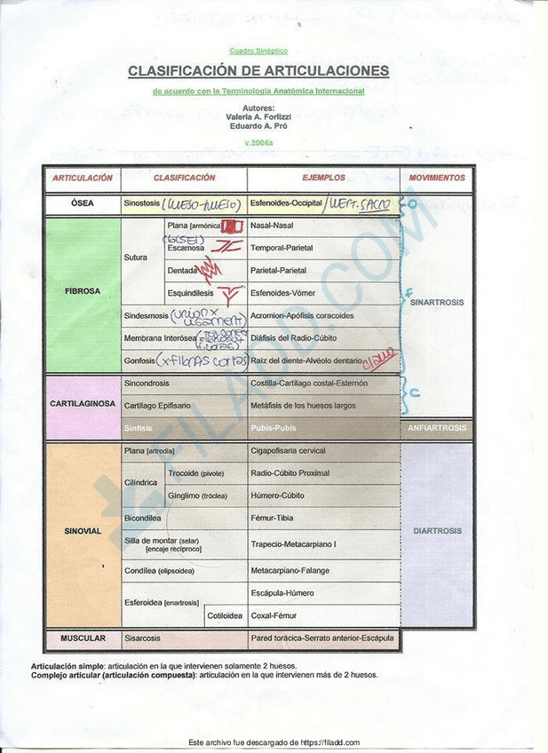 Miniatura del documento Images-del-Aporte-Articulaciones.pdf