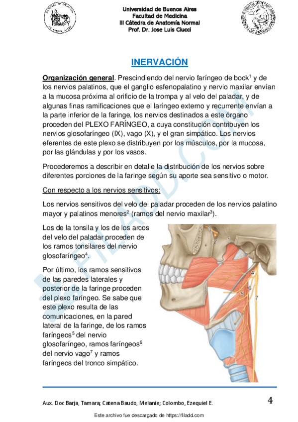 Miniatura del documento hueso-temporalmerged-3.pdf