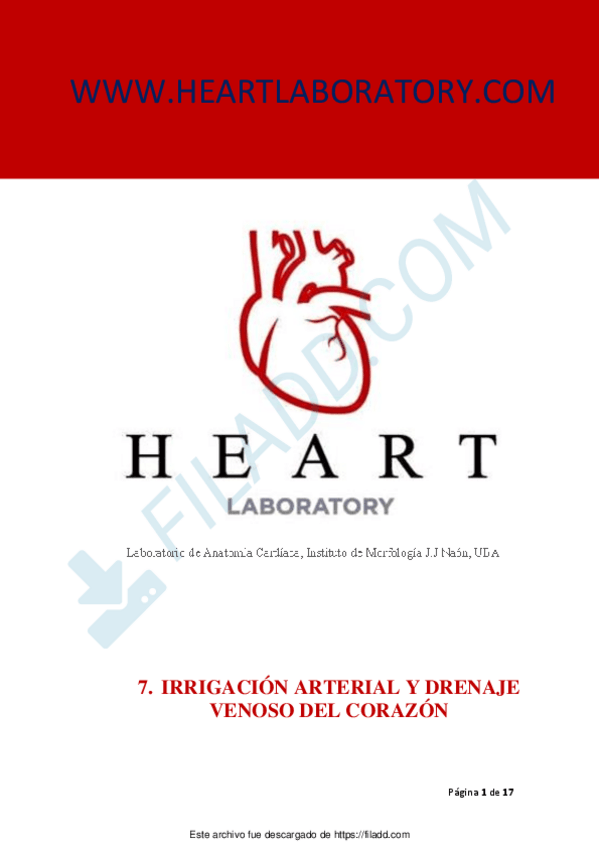 Miniatura del documento Irrigacion-Arterial-y-Drenaje-Venoso-del-Corazon-1.pdf