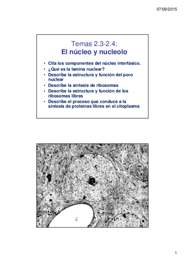 Miniatura del documento 285003lec-2.3-2.4-Nucleo-2X.pdf
