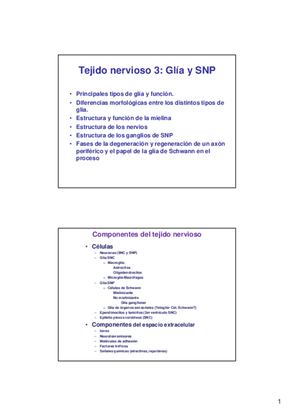 Miniatura del documento 285023Lec-5.5-sistema-nervioso-3-2x.pdf