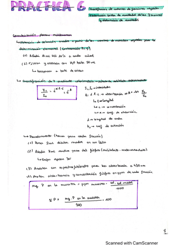 Miniatura del documento Practica-6-Biologia.pdf