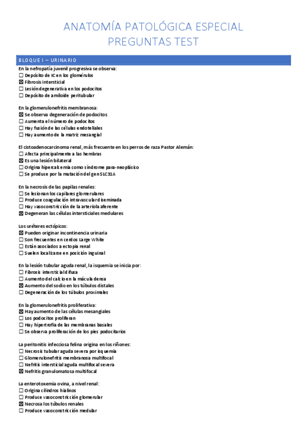 Miniatura del documento Preguntas-APE-Primer-y-segundo-parcial-ACTUALIZADO-1.pdf