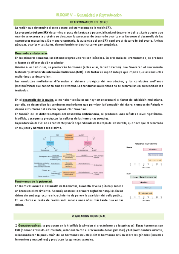Miniatura del documento APARATOS-REPRODUCTORES-COMPLETOS.pdf