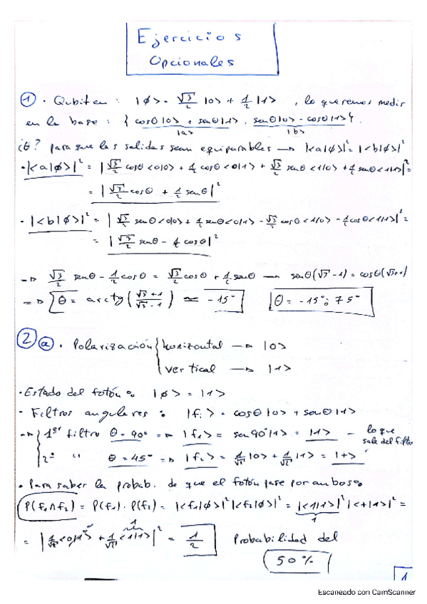 Miniatura del documento EjerciciosOpcionales.pdf