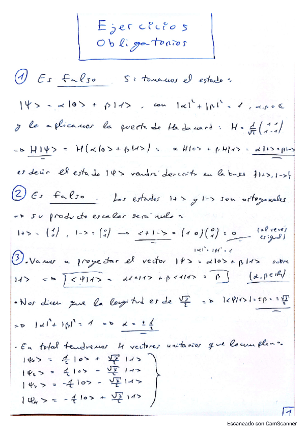 Miniatura del documento EjerciciosObligatorios.pdf