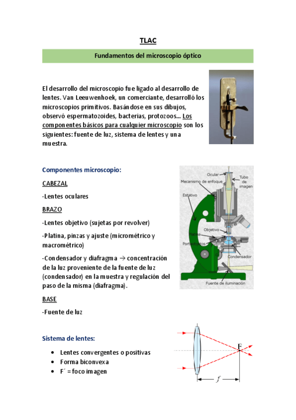 Miniatura del documento Temario-TLAC.pdf