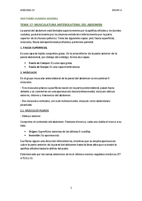 Miniatura del documento TEMA 17 - MUSCULATURA ANTEROLATERAL DEL ABDOMEN.pdf