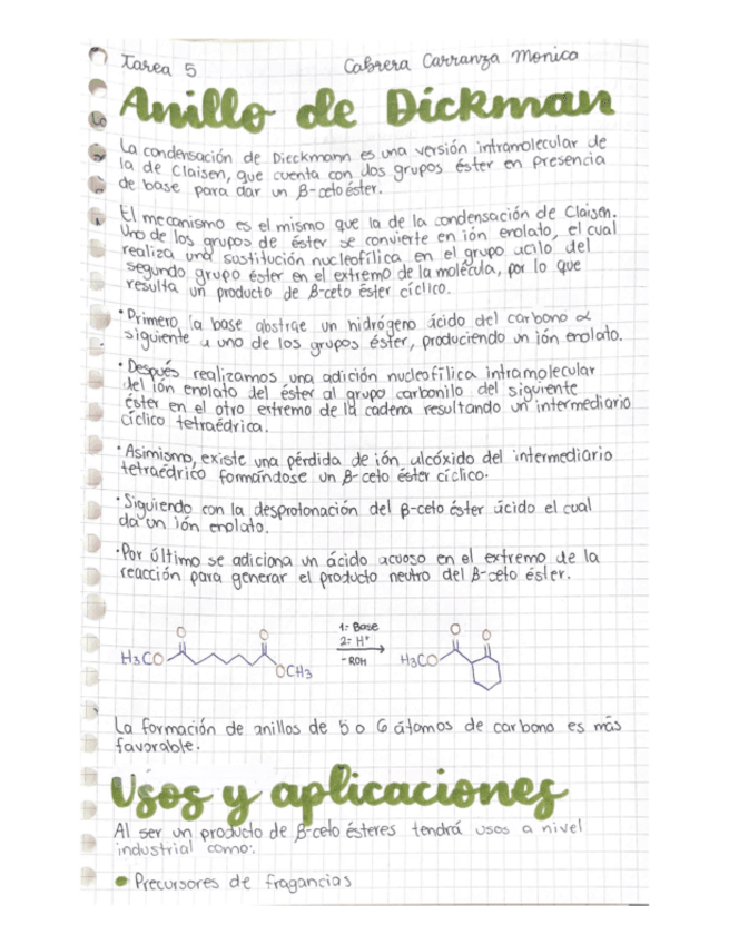 Miniatura del documento Anillo-Dieckmann.pdf