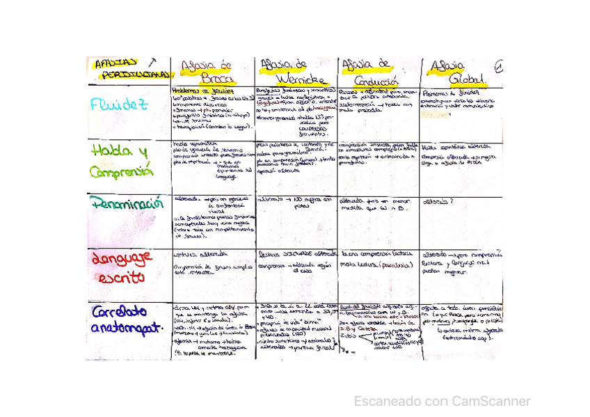 Miniatura del documento esquema-T5-Neuro.pdf