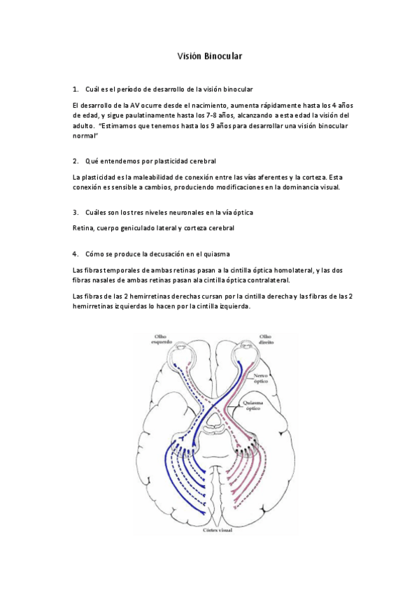 Miniatura del documento examen bino.pdf
