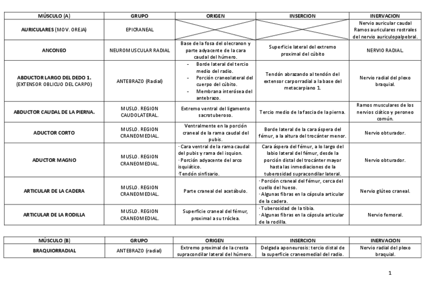 Miniatura del documento TABLAS-MUSCULOS-POR-ORDEN-ALFABETICO.pdf